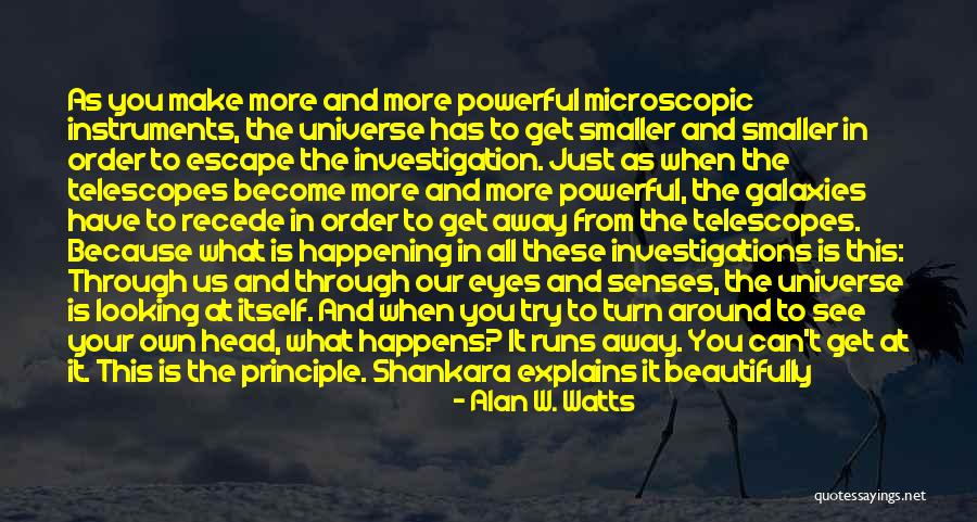 Galaxies And Eyes Quotes By Alan W. Watts