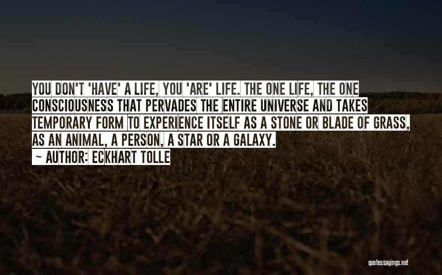 Galaxy And Star Quotes By Eckhart Tolle