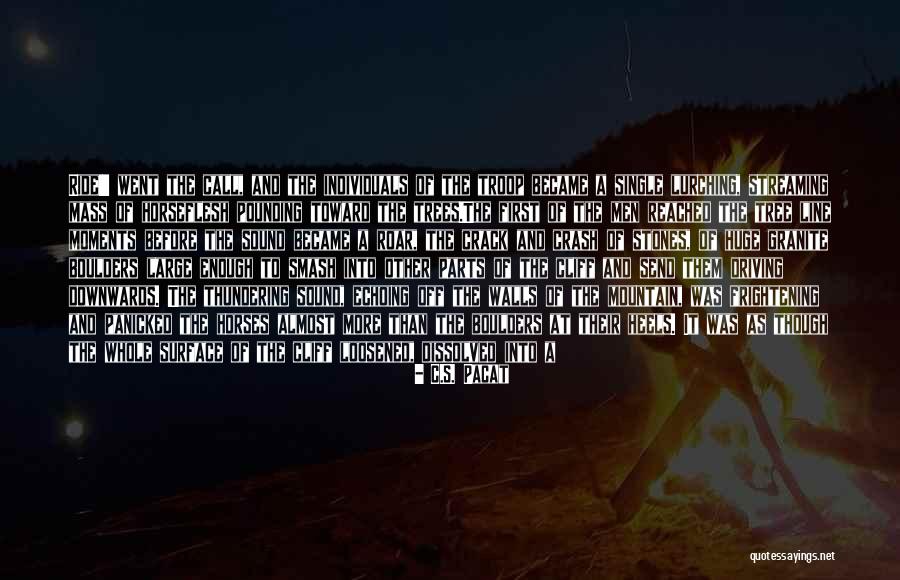 Galbadrakh Baramsai Quotes By C.S. Pacat Galbadrakh Baramsai Quotes By C.S. Pacat