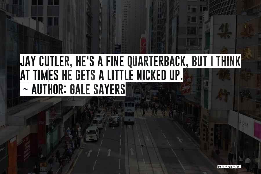 Gale Sayers Quotes 1436644