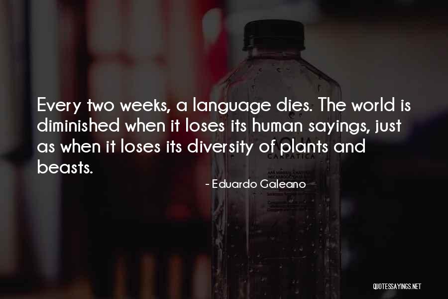 Galeano Quotes By Eduardo Galeano