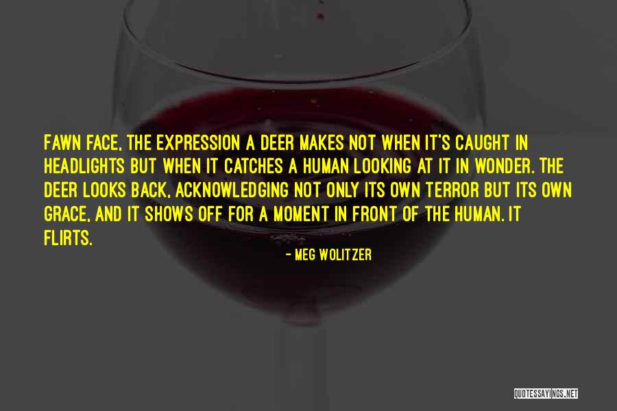 Galenas Marijuana Quotes By Meg Wolitzer Galenas Marijuana Quotes By Meg Wolitzer