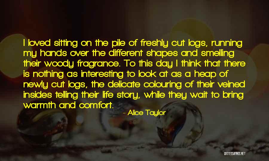 Galeota Trinidad Quotes By Alice Taylor Galeota Trinidad Quotes By Alice Taylor