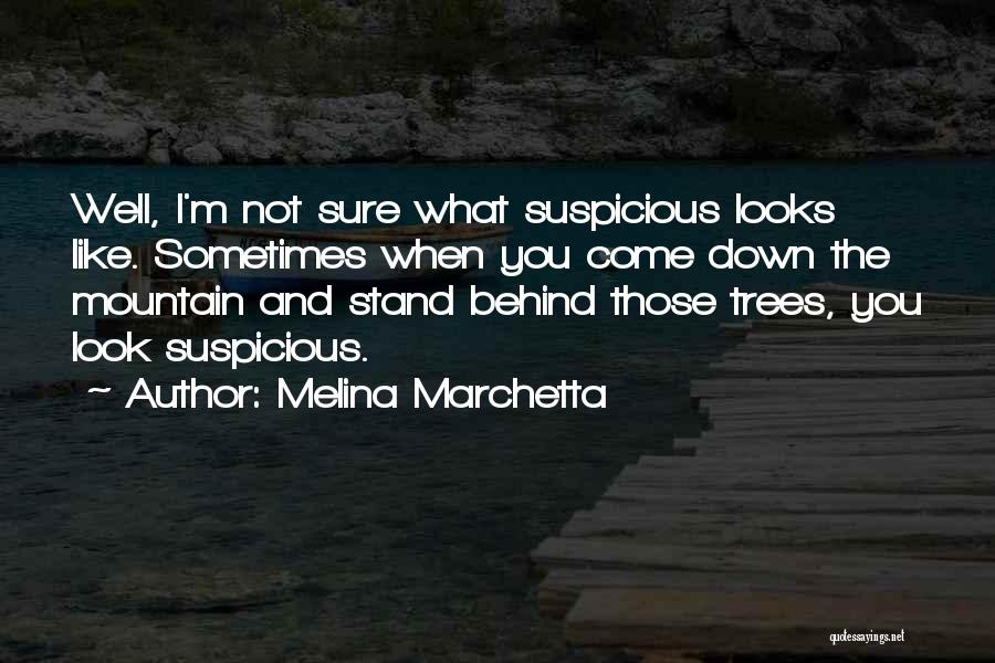 Galgaron Quotes By Melina Marchetta