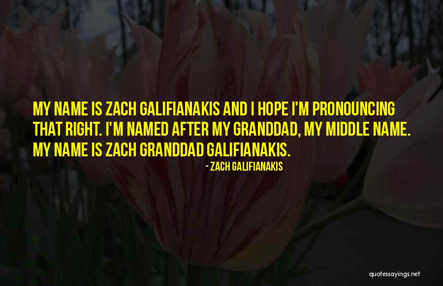 Galifianakis Quotes By Zach Galifianakis