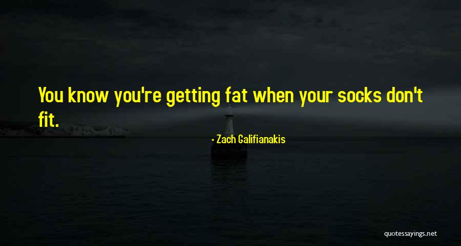 Galifianakis Quotes By Zach Galifianakis