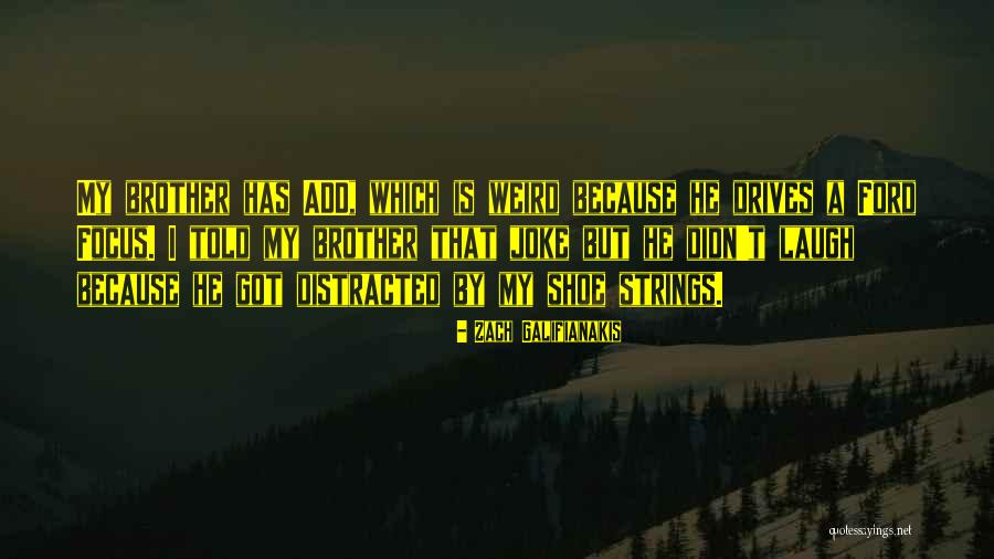 Galifianakis Zach Quotes By Zach Galifianakis Galifianakis Zach Quotes By Zach Galifianakis