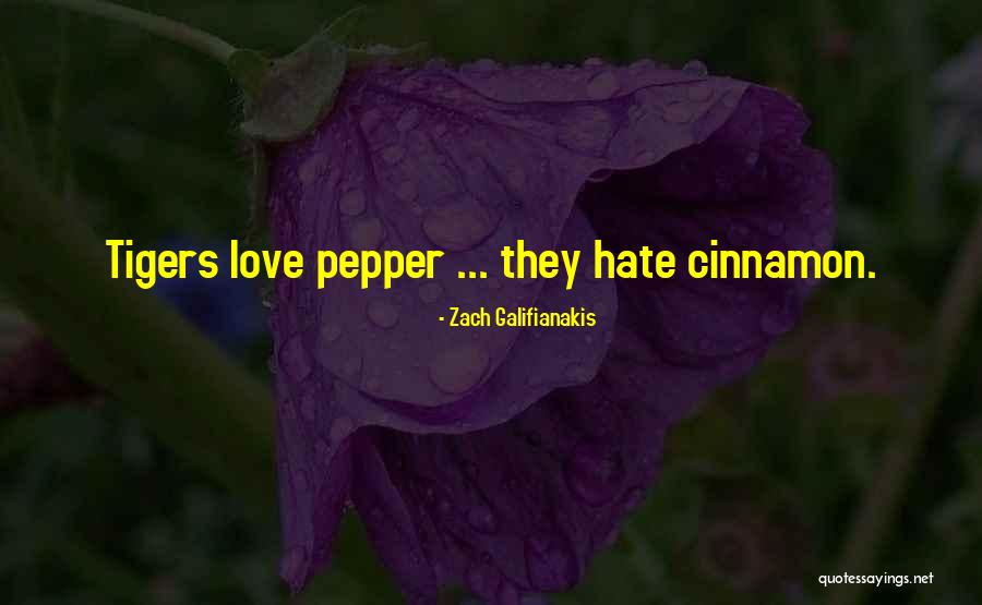 Galifianakis Zach Quotes By Zach Galifianakis Galifianakis Zach Quotes By Zach Galifianakis