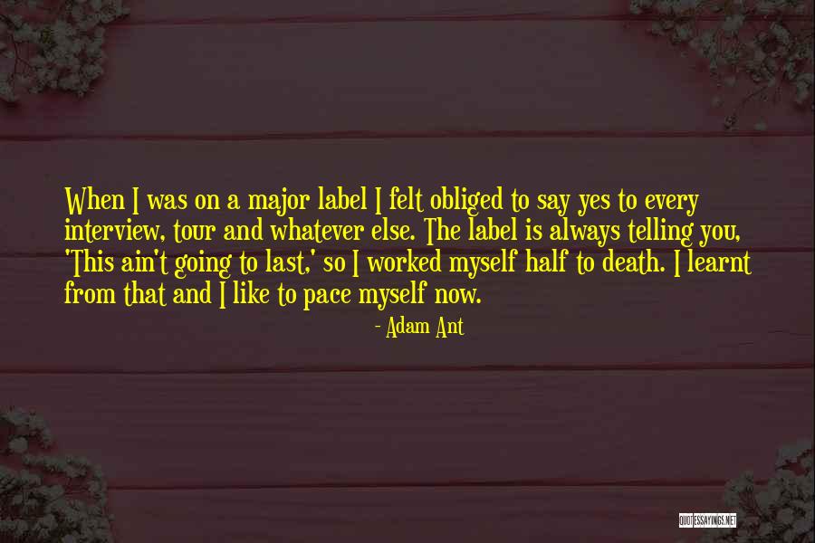 Gallas Dunwoody Quotes By Adam Ant Gallas Dunwoody Quotes By Adam Ant
