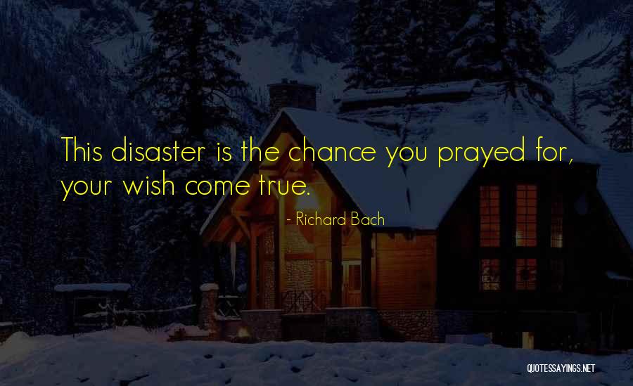 Galleon Wow Quotes By Richard Bach Galleon Wow Quotes By Richard Bach