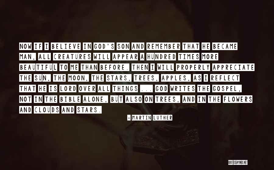 Gallera Quotes By Martin Luther Gallera Quotes By Martin Luther