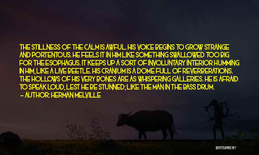 Galleries Quotes By Herman Melville