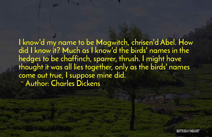 Galli Cricket Quotes By Charles Dickens