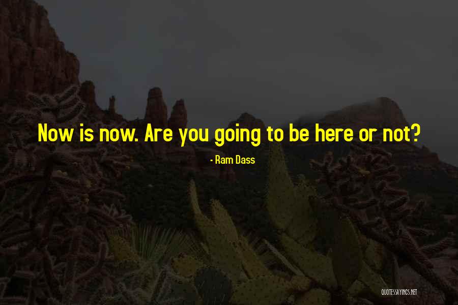 Gallivanting Synonyms Quotes By Ram Dass Gallivanting Synonyms Quotes By Ram Dass