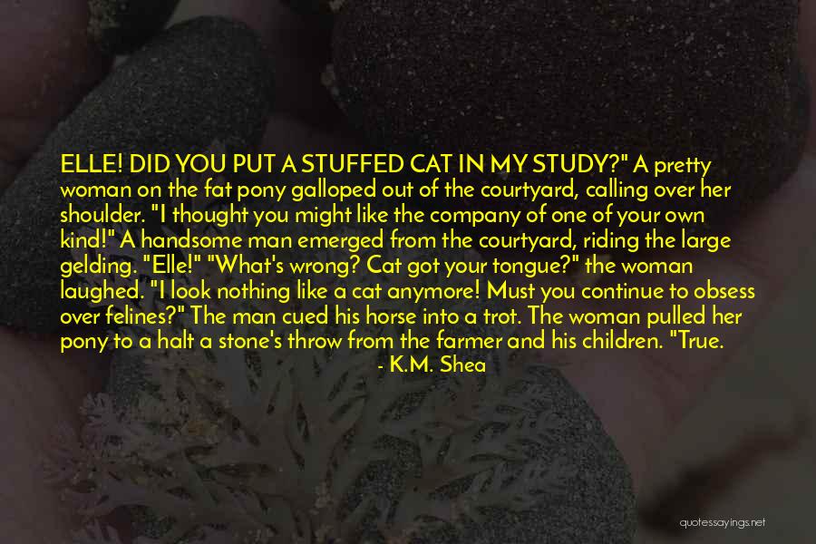 Galloped Quotes By K.M. Shea Galloped Quotes By K.M. Shea