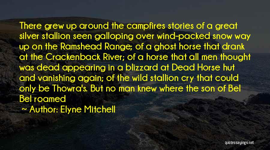 Galloping Horse Quotes By Elyne Mitchell