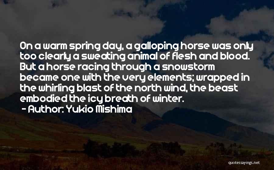 Galloping Horse Quotes By Yukio Mishima