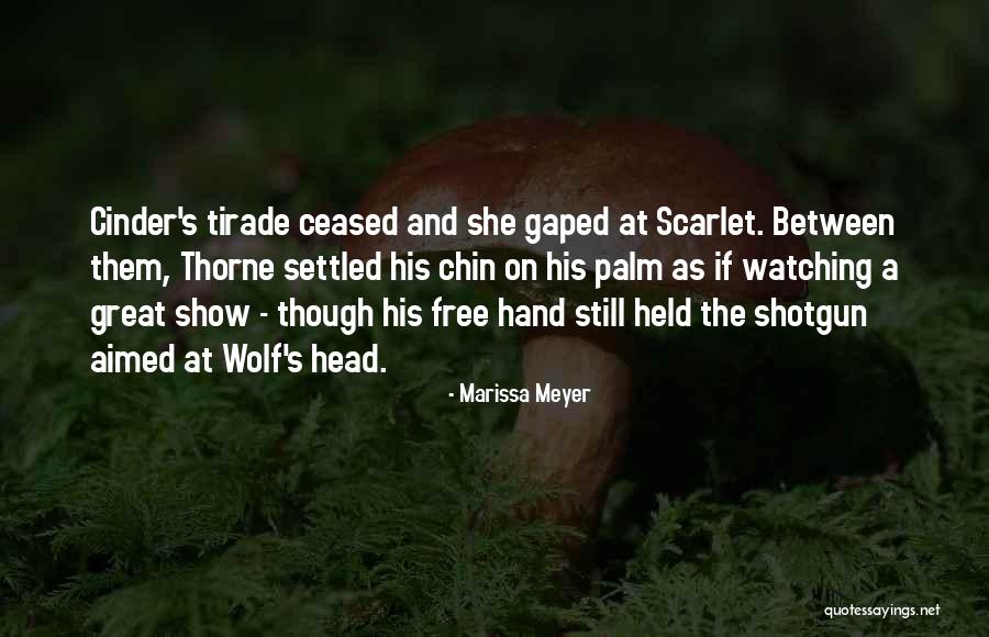 Gallotto Biella Quotes By Marissa Meyer Gallotto Biella Quotes By Marissa Meyer
