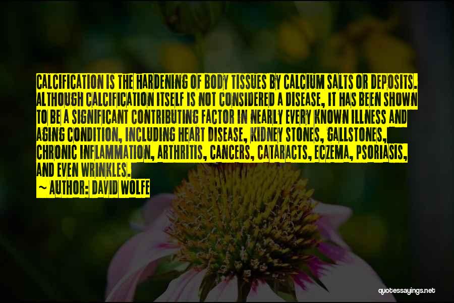 Gallstones Quotes By David Wolfe