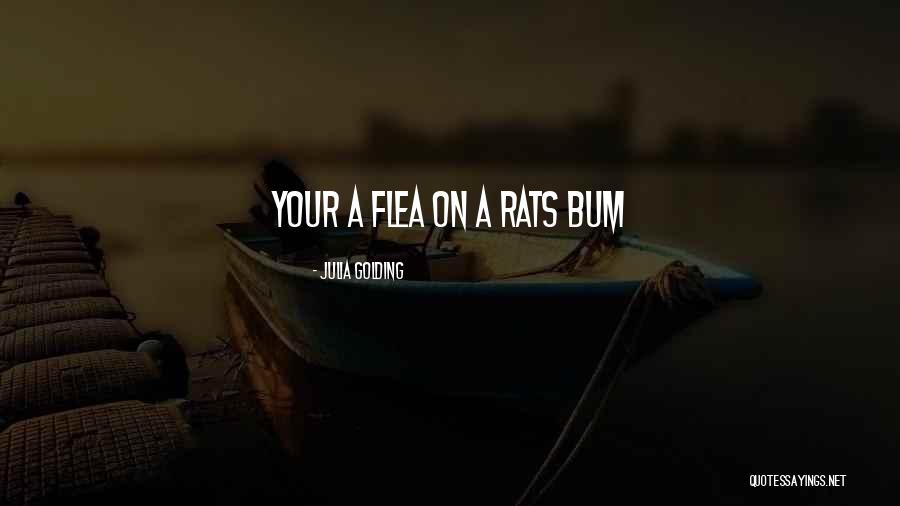 Galluccio Attorney Quotes By Julia Golding Galluccio Attorney Quotes By Julia Golding