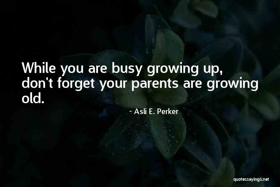 Galpaz Music Website Quotes By Asli E. Perker Galpaz Music Website Quotes By Asli E. Perker