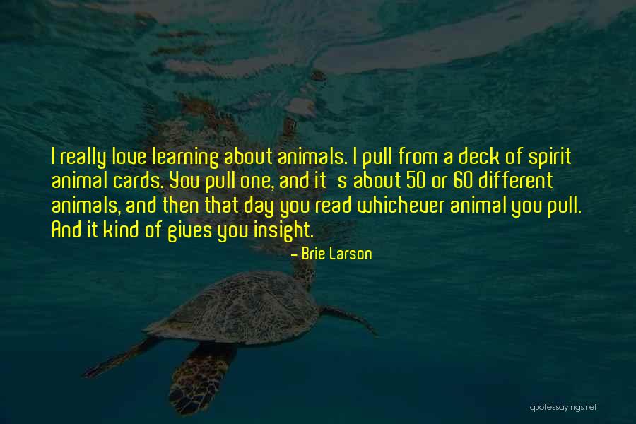 Galpern Attorney Quotes By Brie Larson Galpern Attorney Quotes By Brie Larson