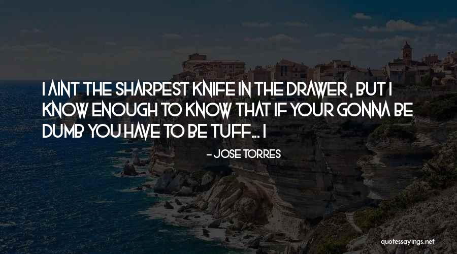 Galron Destiny Quotes By Jose Torres Galron Destiny Quotes By Jose Torres