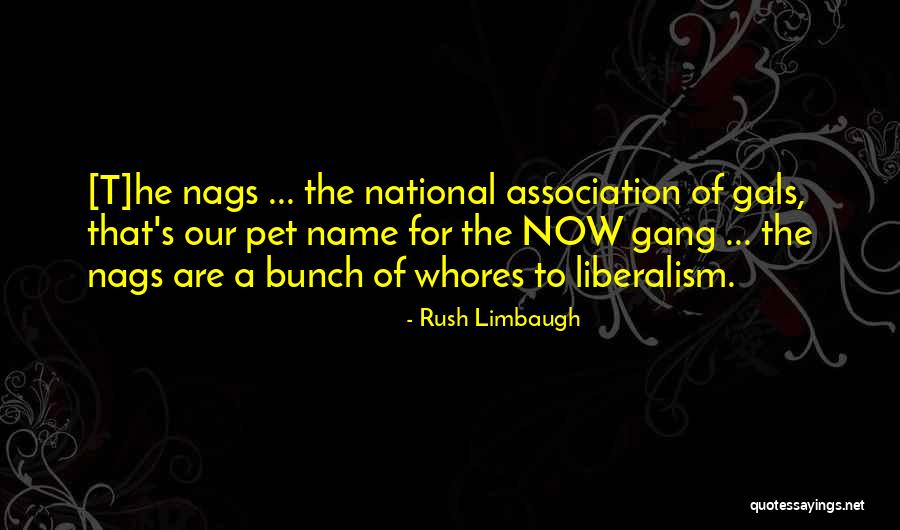 Gals Quotes By Rush Limbaugh Gals Quotes By Rush Limbaugh