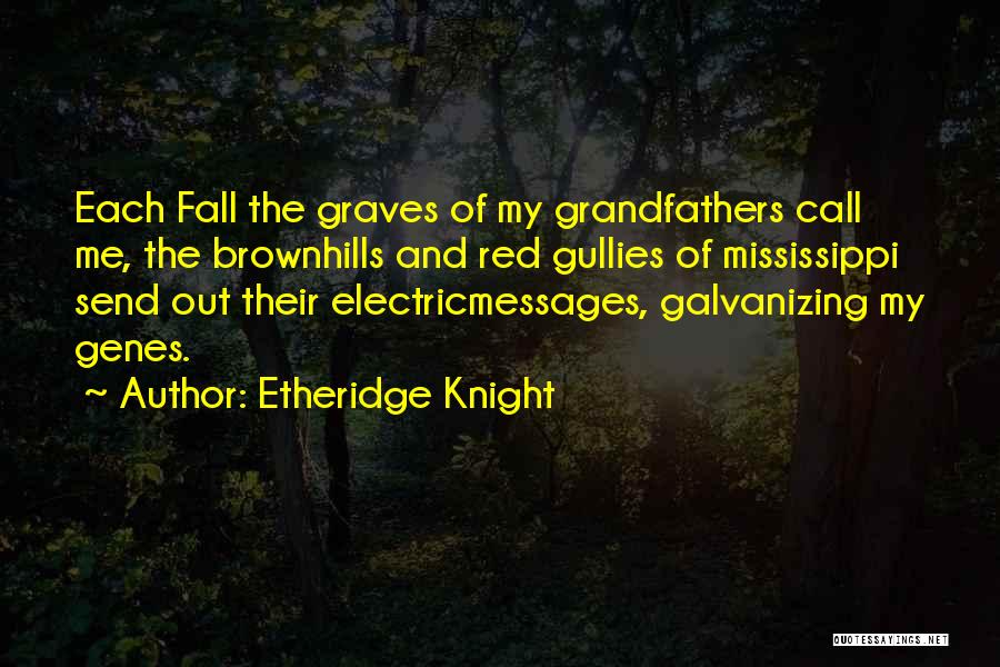 Galvanizing Quotes By Etheridge Knight