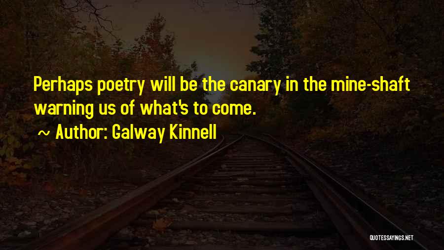 Galway Kinnell Quotes 1188446