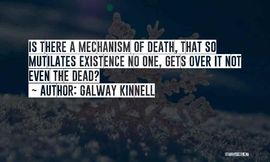 Galway Kinnell Quotes 1969769