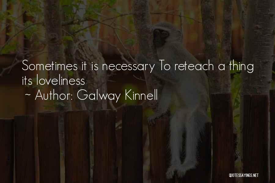 Galway Kinnell Quotes 199987