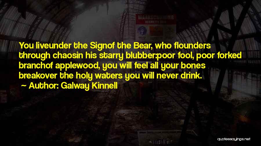 Galway Kinnell Quotes 2169172