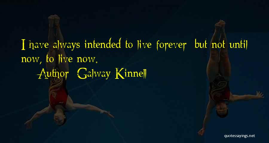 Galway Quotes By Galway Kinnell