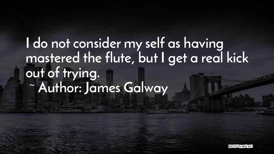 Galway Quotes By James Galway