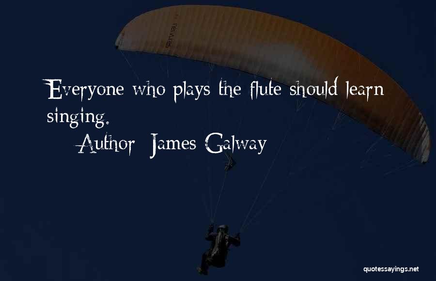 Galway Quotes By James Galway