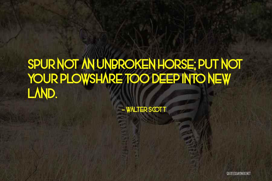 Gambar Elang Quotes By Walter Scott Gambar Elang Quotes By Walter Scott