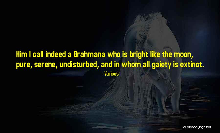 Gambing Quotes By Various Gambing Quotes By Various