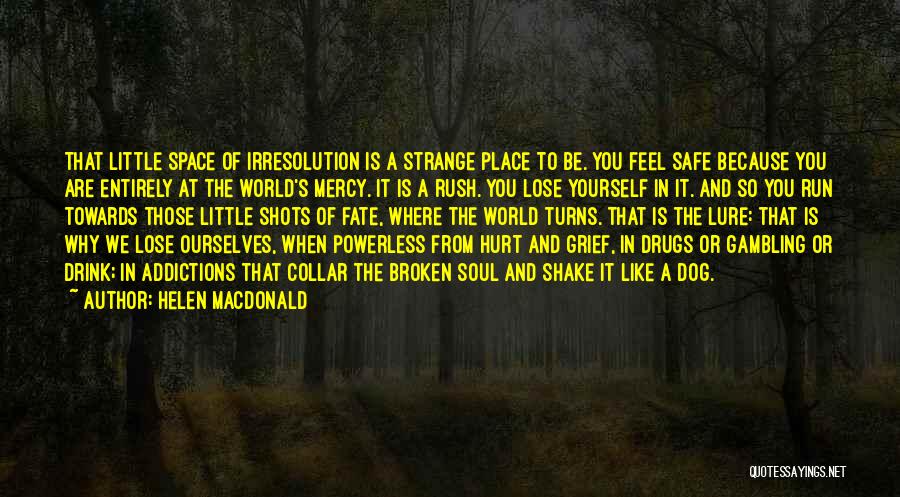 Gambling Addictions Quotes By Helen Macdonald