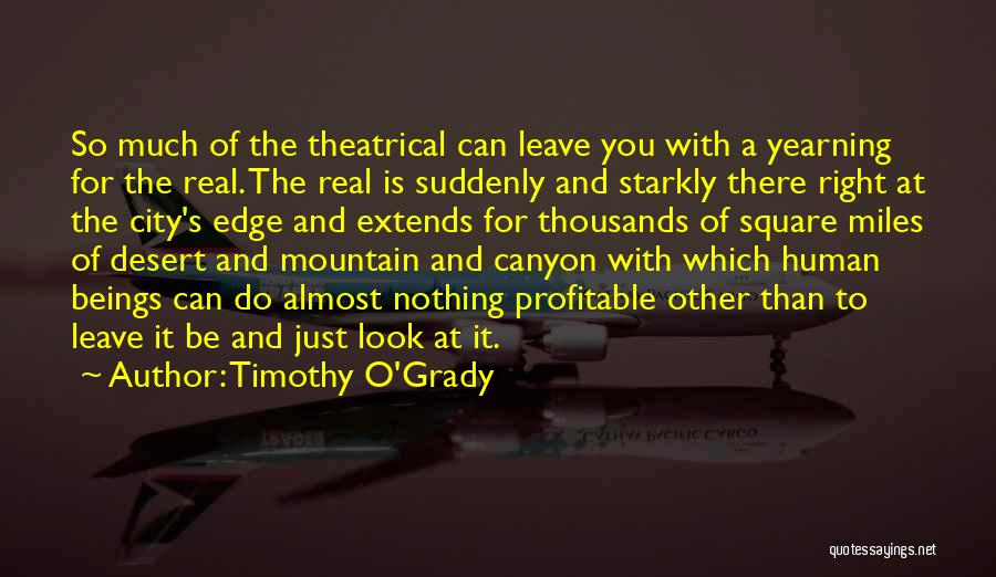 Gambling Best Quotes By Timothy O'Grady