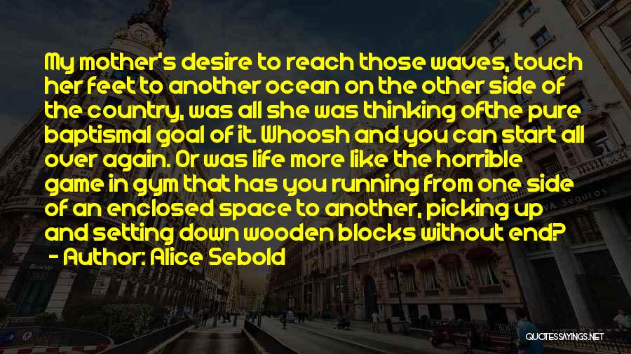 Game Over Life Quotes By Alice Sebold