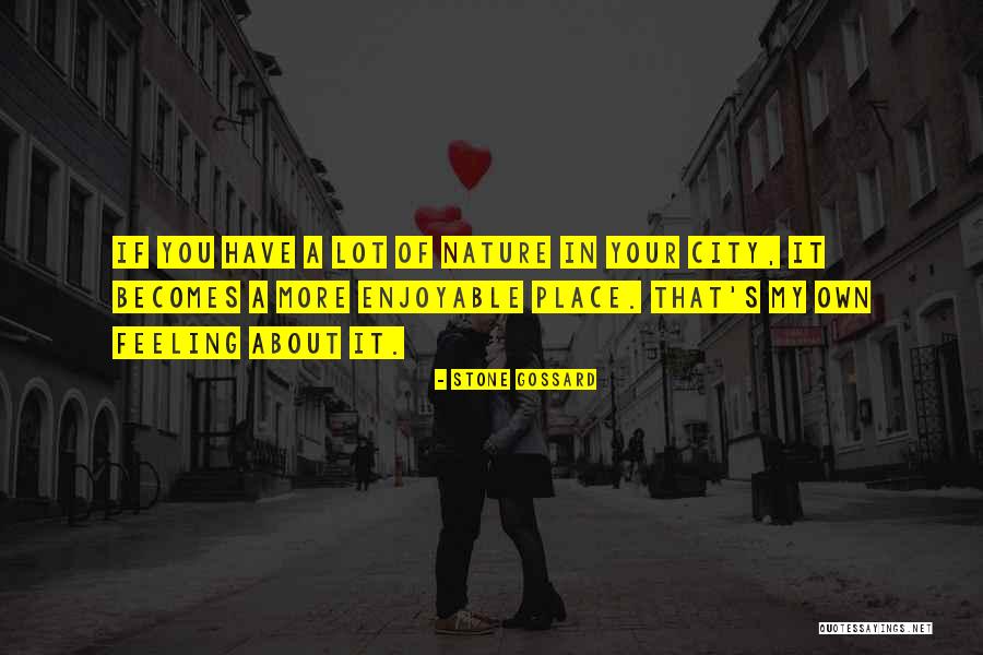 Gamedesign Quotes By Stone Gossard Gamedesign Quotes By Stone Gossard
