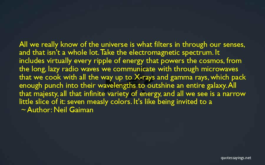 Gamma Rays Quotes By Neil Gaiman