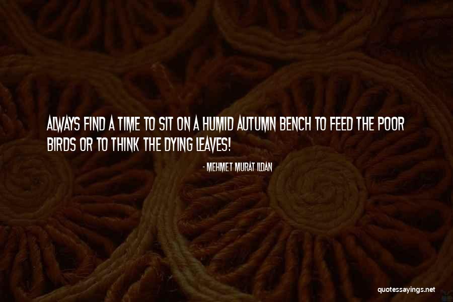 Gammeltoft Knoxville Quotes By Mehmet Murat Ildan Gammeltoft Knoxville Quotes By Mehmet Murat Ildan