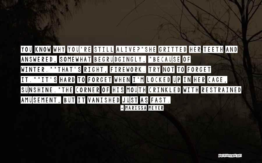 Gampel Andrea Quotes By Marissa Meyer Gampel Andrea Quotes By Marissa Meyer