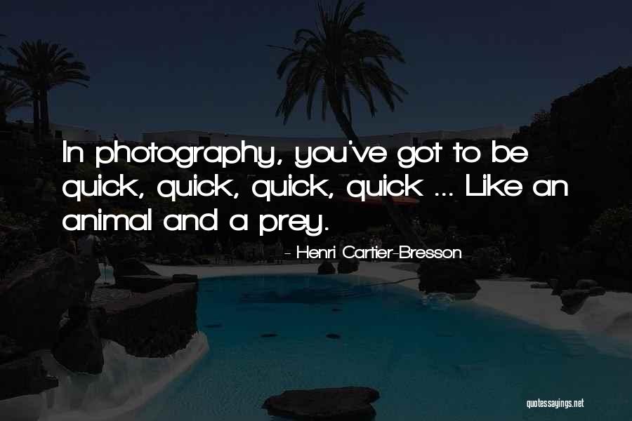 Gamucci Refills Quotes By Henri Cartier-Bresson Gamucci Refills Quotes By Henri Cartier-Bresson