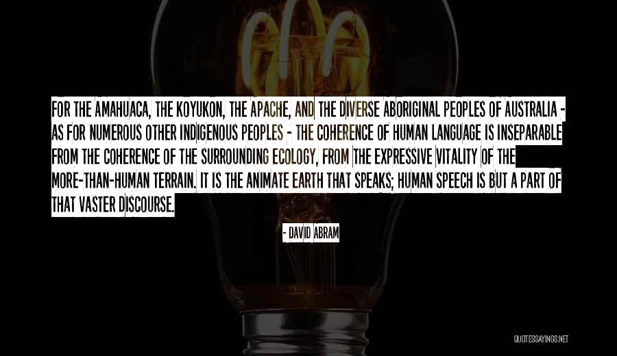 Gamze Ercel Quotes By David Abram Gamze Ercel Quotes By David Abram