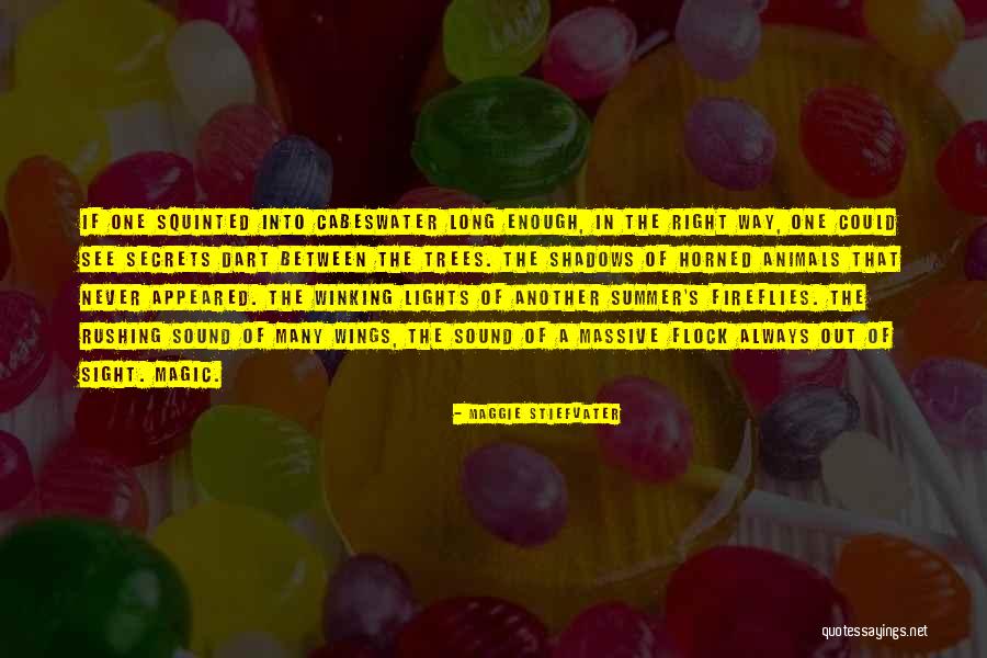 Ganadores Online Quotes By Maggie Stiefvater Ganadores Online Quotes By Maggie Stiefvater