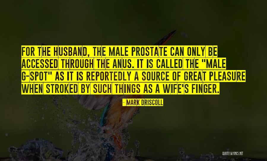 Ganapathy Temple Quotes By Mark Driscoll Ganapathy Temple Quotes By Mark Driscoll