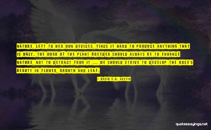 Ganbei Piegade Quotes By David C.H. Austin Ganbei Piegade Quotes By David C.H. Austin